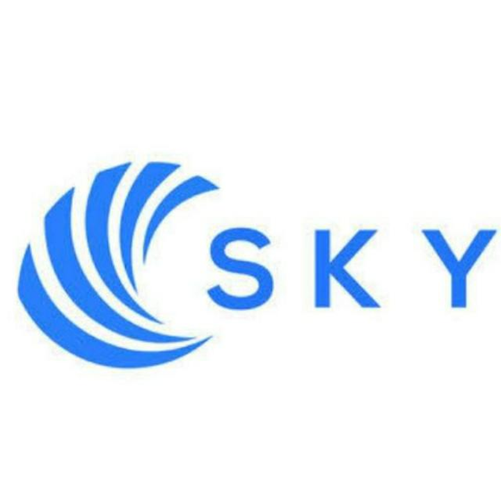 CTG ONLINE SKY-logo